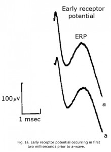 ERP1a