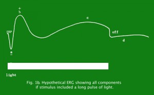 Fig.1b